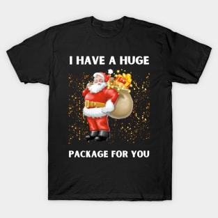 I Have A Huge Package For You christmas T-Shirt